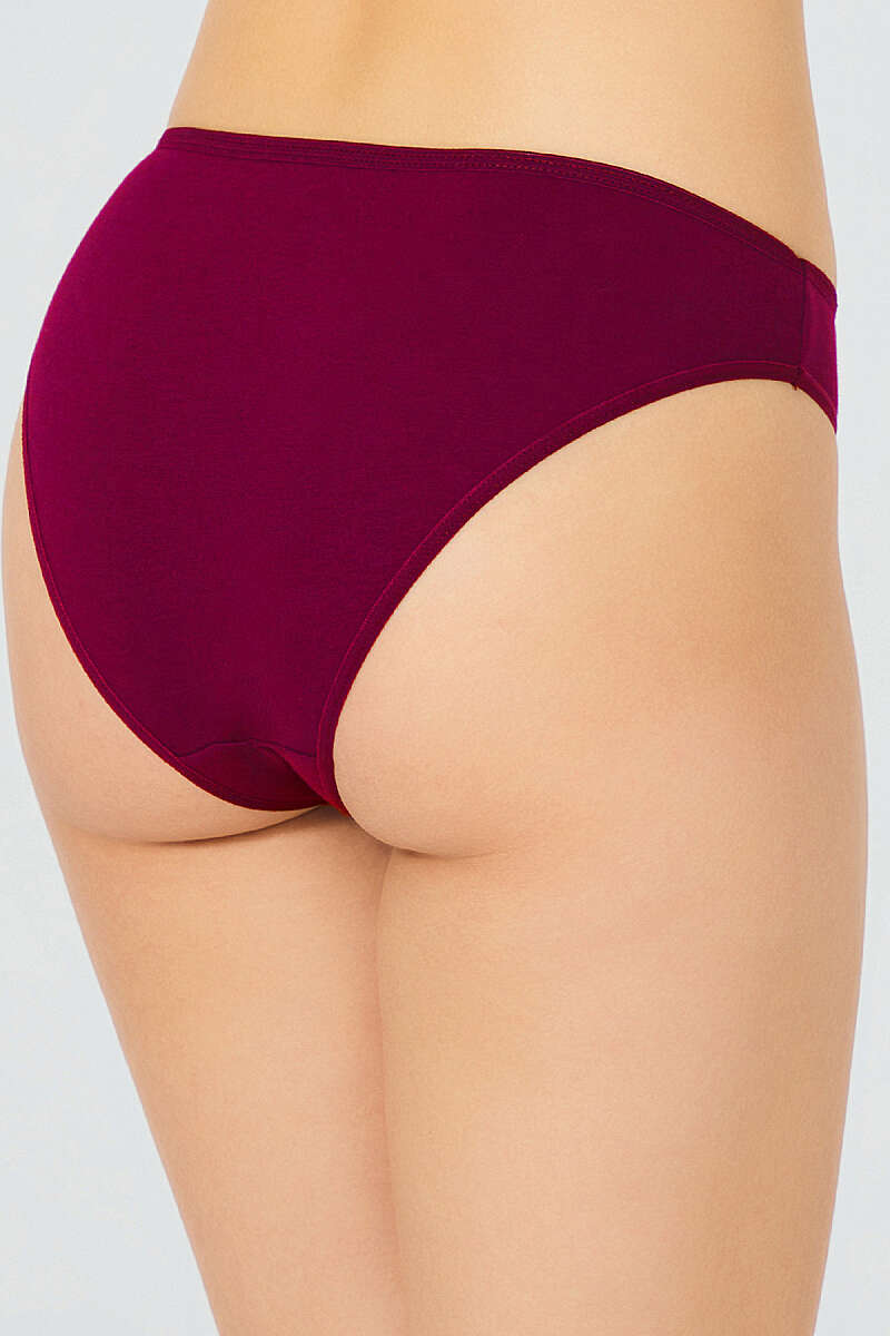 https://cdn.pazarium.com.tr/5li-basic-bikini-kulot-renkli-2-817454-20-B.jpg