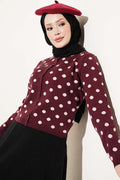 https://cdn.pazarium.com.tr/benek-desenli-triko-hirka-bordo-822868-20-B.jpg