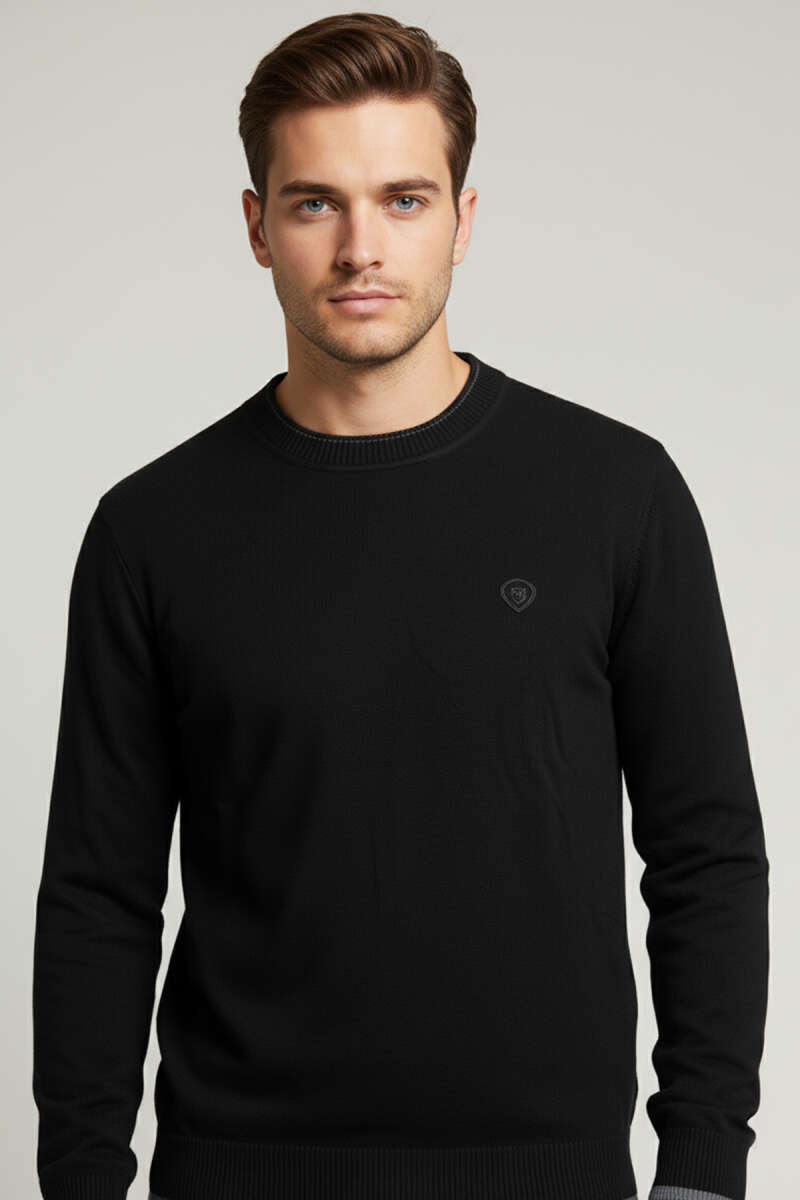https://cdn.pazarium.com.tr/bisiklet-yaka-armali-erkek-sweatshirt-siyah-701926-17-B.jpg