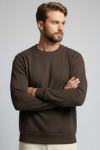 https://cdn.pazarium.com.tr/bisiklet-yaka-dikisli-erkek-sweatshirt-kahve-700005-16-B.jpg