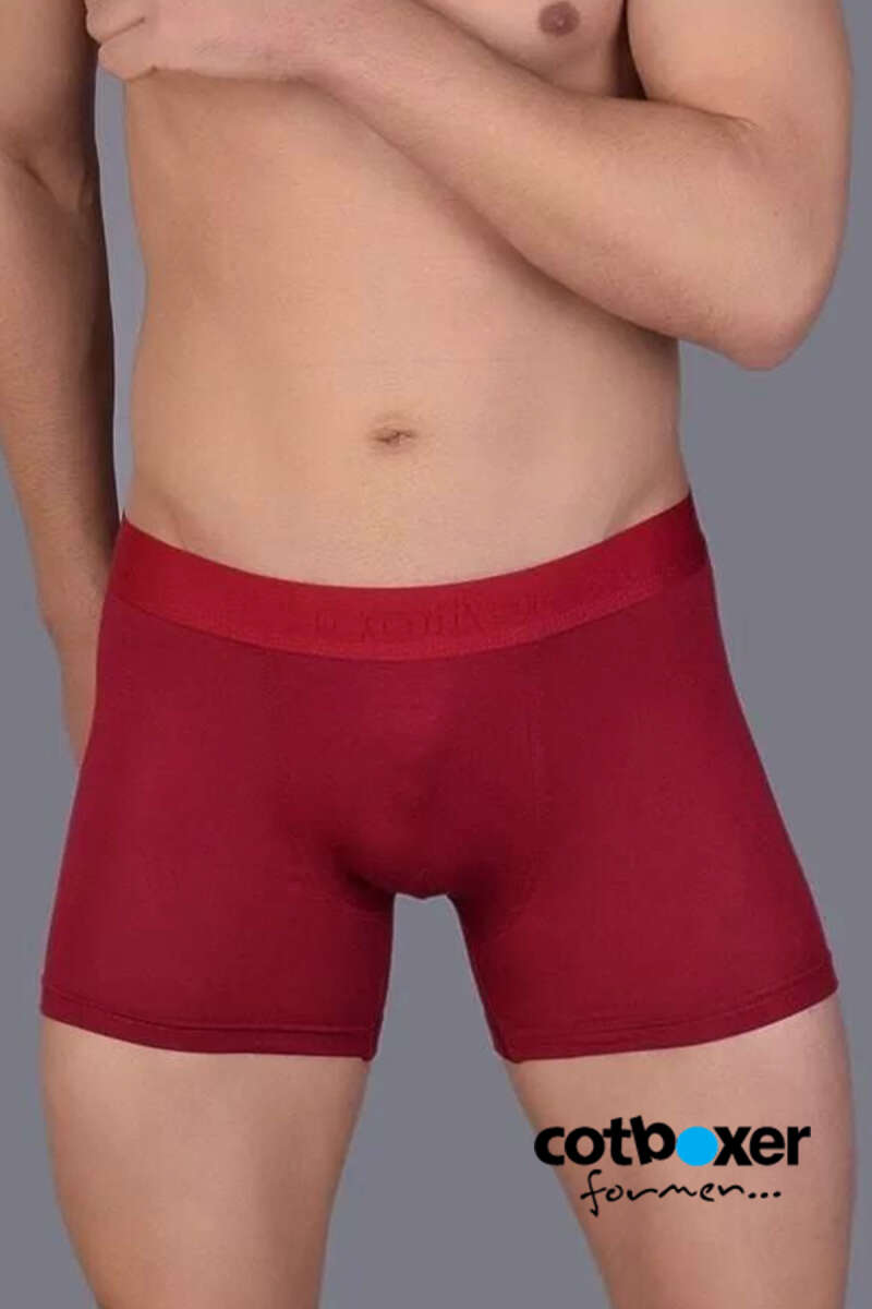 https://cdn.pazarium.com.tr/cotboxer-modal-erkek-boxer-bordo-530233-12-B.jpg