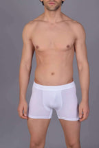 https://cdn.pazarium.com.tr/cotboxer-modal-erkek-boxer-cappuccino-529918-12-B.jpg