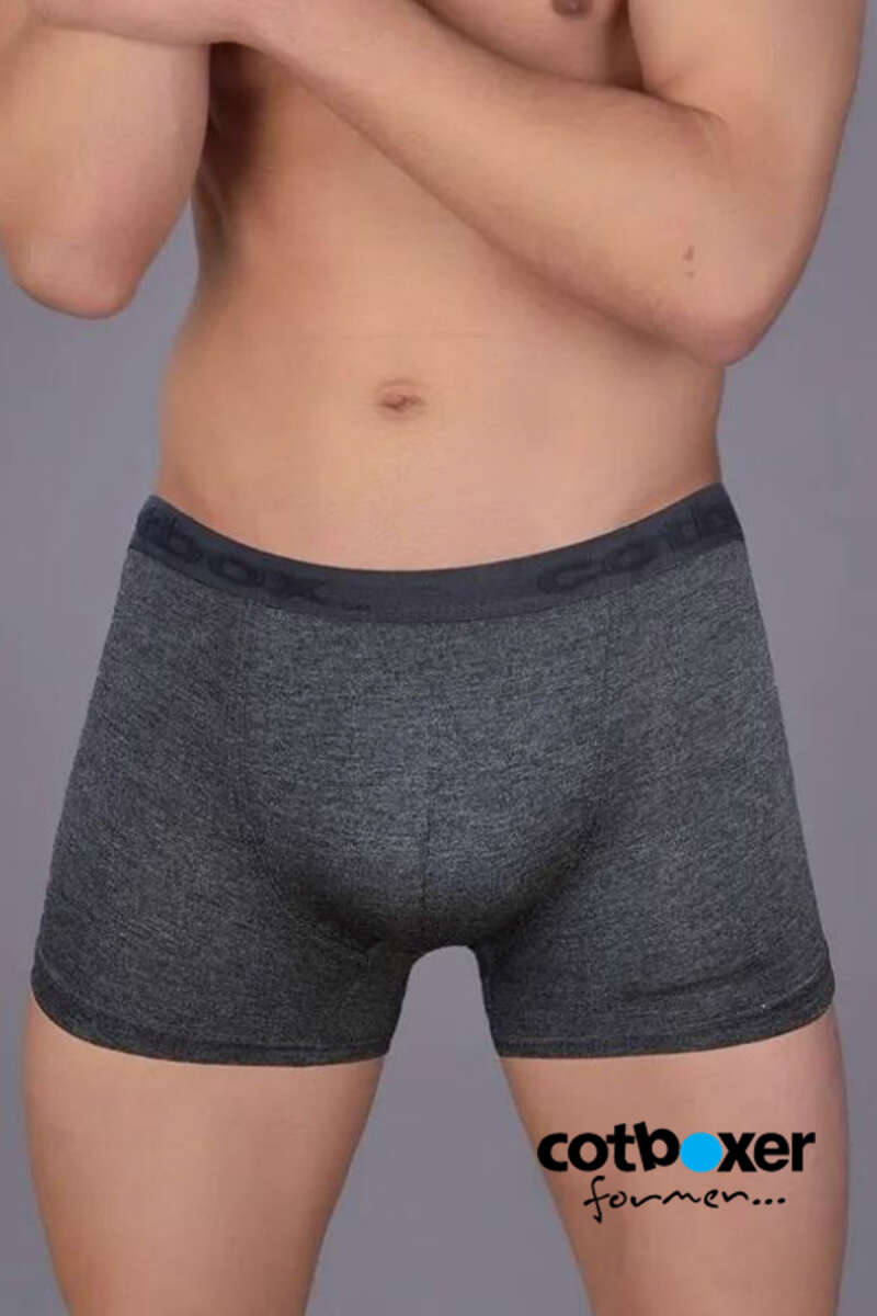 https://cdn.pazarium.com.tr/cotboxer-modal-erkek-boxer-fume-530231-12-B.jpg