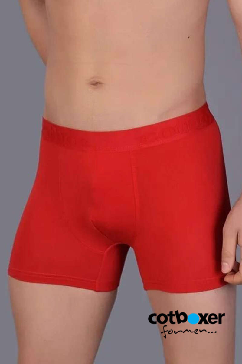 https://cdn.pazarium.com.tr/cotboxer-modal-erkek-boxer-kirmizi-530229-12-B.jpg