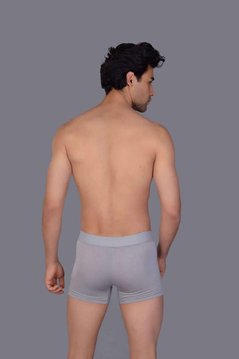 https://cdn.pazarium.com.tr/cotboxer-modal-erkek-boxer-melanj-gri-529907-12-B.jpg