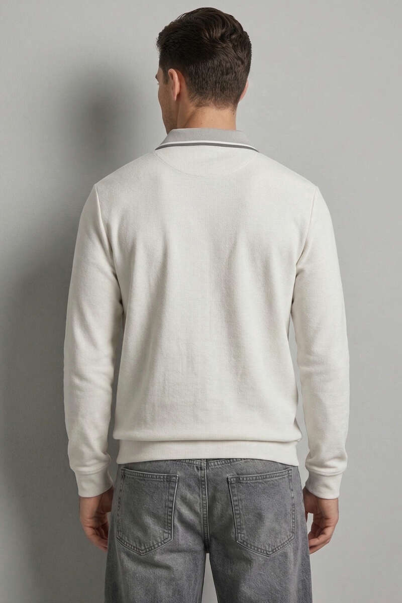 https://cdn.pazarium.com.tr/jakarli-polo-yaka-fermuarli-erkek-sweatshirt-gri-756533-18-B.jpg