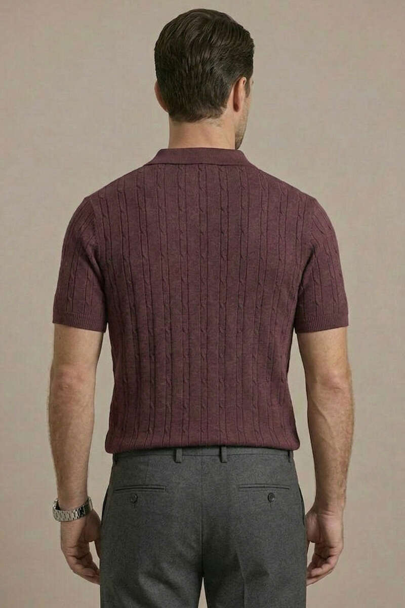 https://cdn.pazarium.com.tr/merserize-fermuarli-erkek-t-shirt-bordo-747445-18-B.jpg
