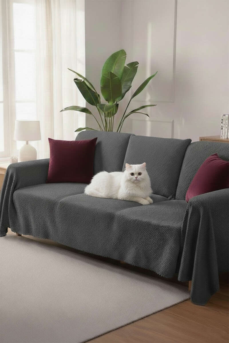 Plush Sofa Cover