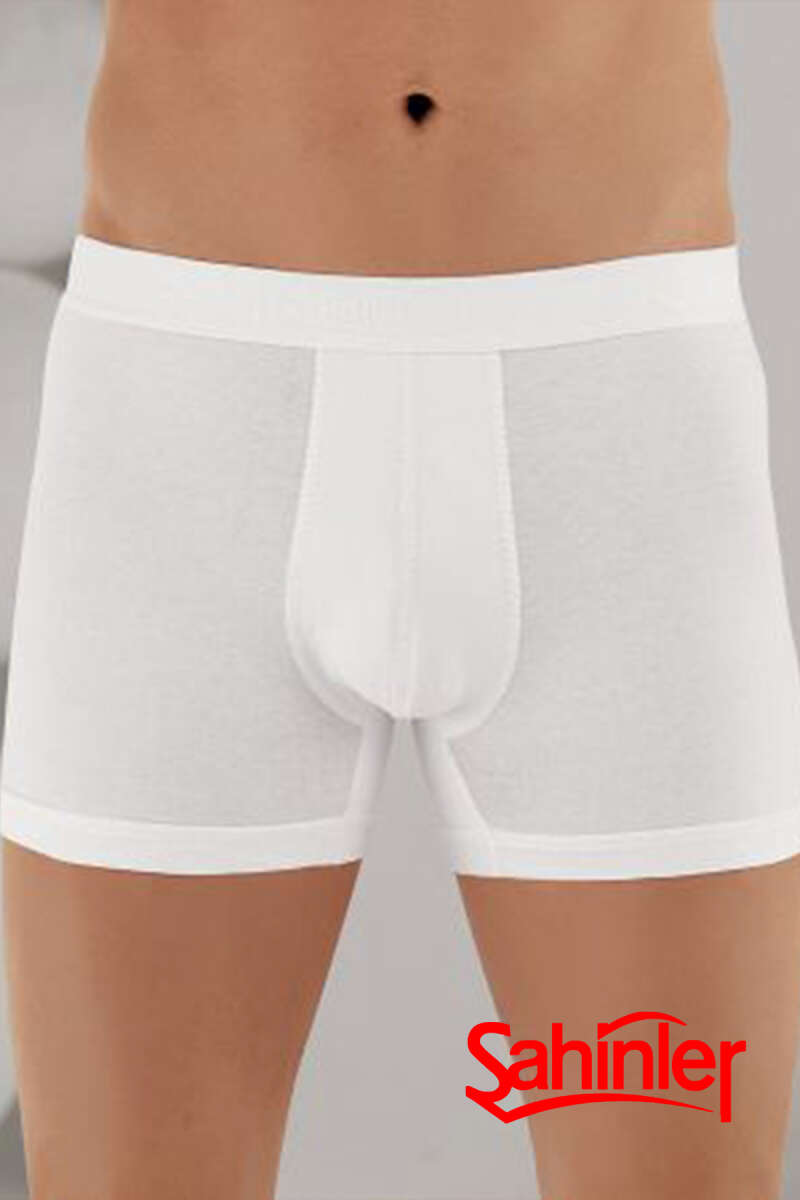 https://cdn.pazarium.com.tr/sahinler-likrali-erkek-boxer-beyaz-529843-12-B.jpg