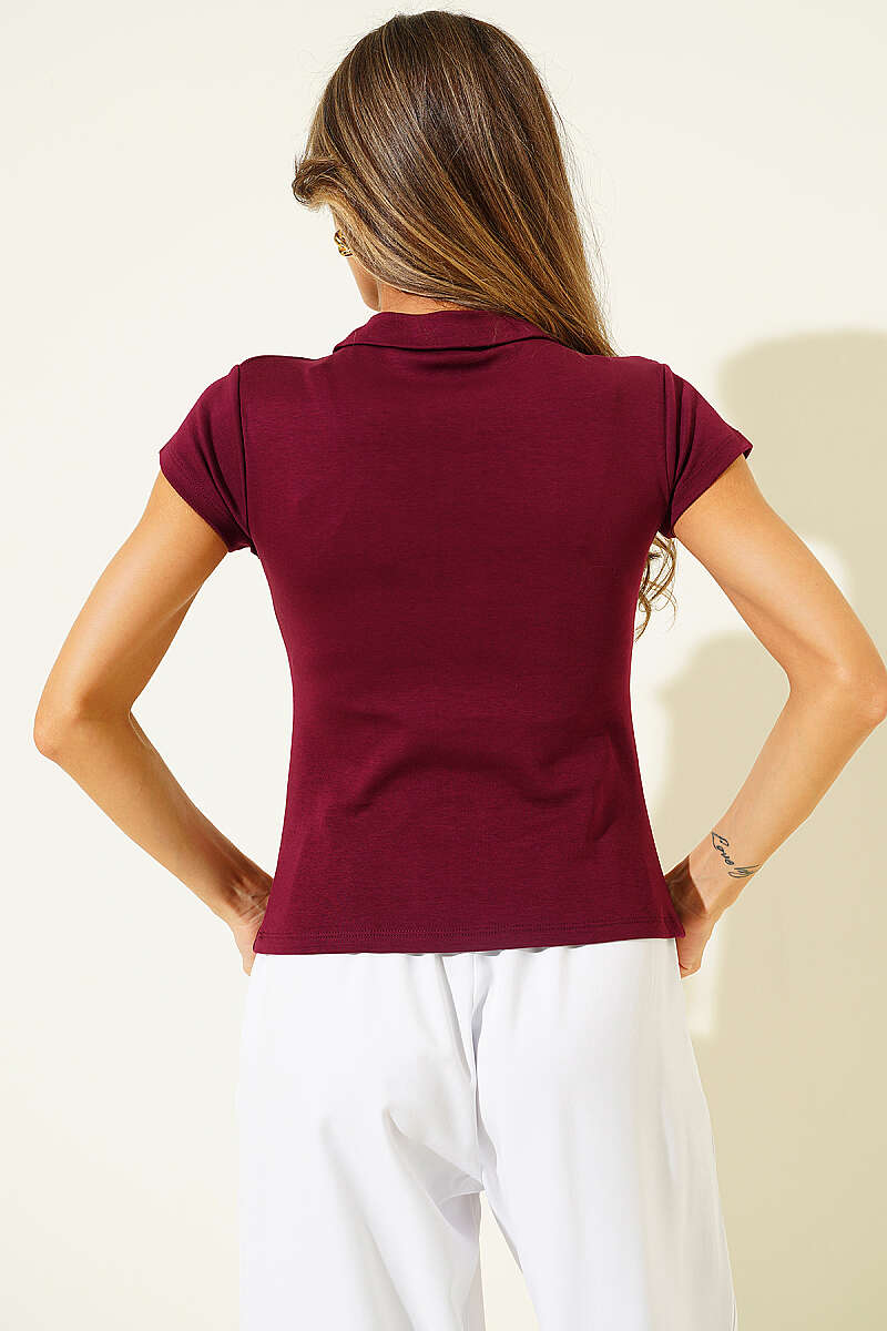 https://cdn.pazarium.com.tr/yarim-fermuarli-gomlek-yaka-t-shirt-bordo-787861-19-B.jpg
